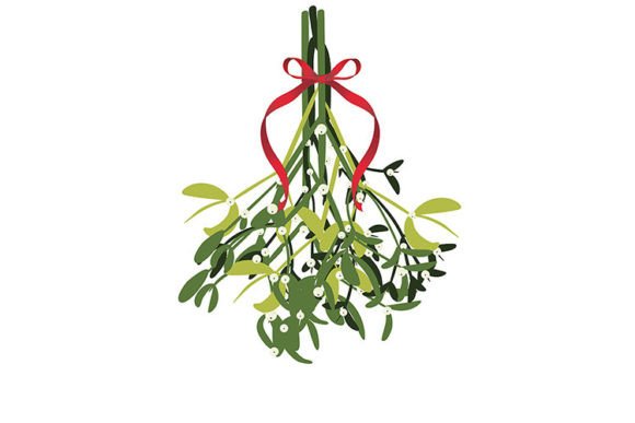 Branch of Mistletoe