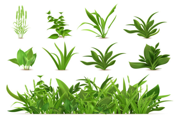 Green Realistic Spring Grass: Elevating Your Eco-Friendly Design Projects