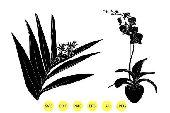 Lily of Valley Vector Illustration: A Practical Evaluation for Design Professionals