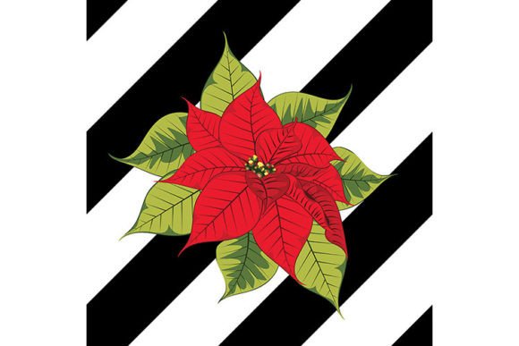 Poinsettia on Black Stripes: A Bold Design Choice