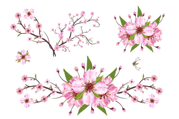 Sakura Cherry Blossom Branch Vector: The Ultimate Design Element for Spring Projects