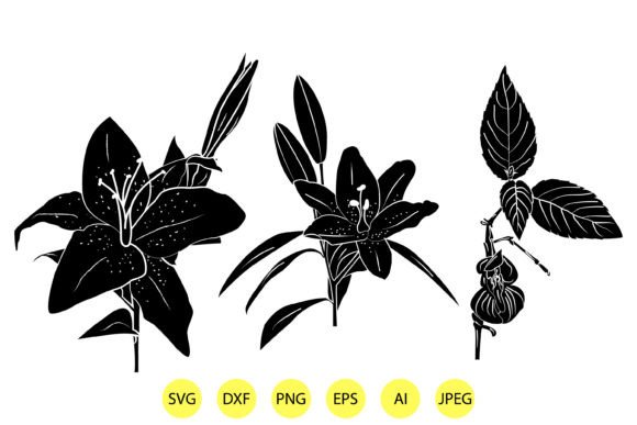 Silhouette of Lily Flowers Illustrations